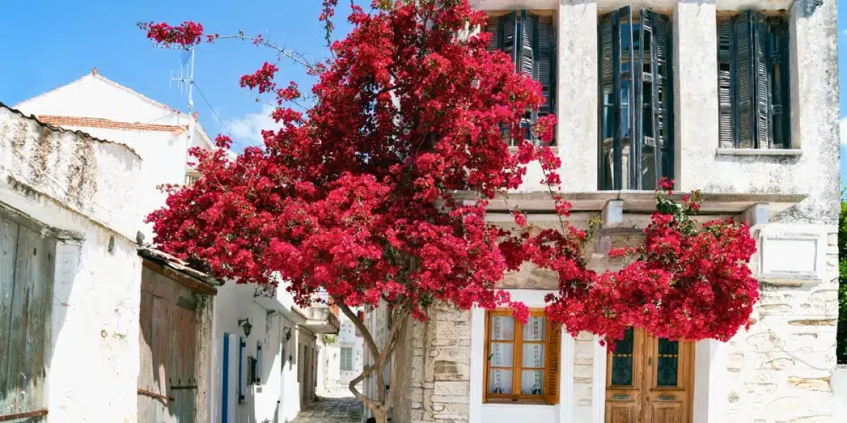 Τα 3 πιο γραφικά χωριά της Πάρου