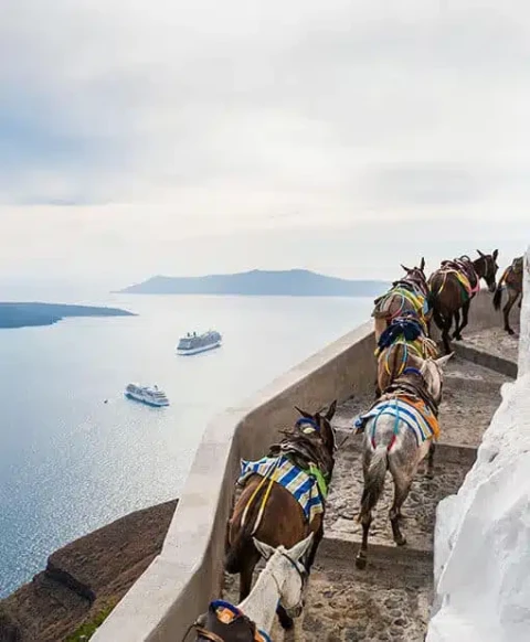 Θαλάσσια sports