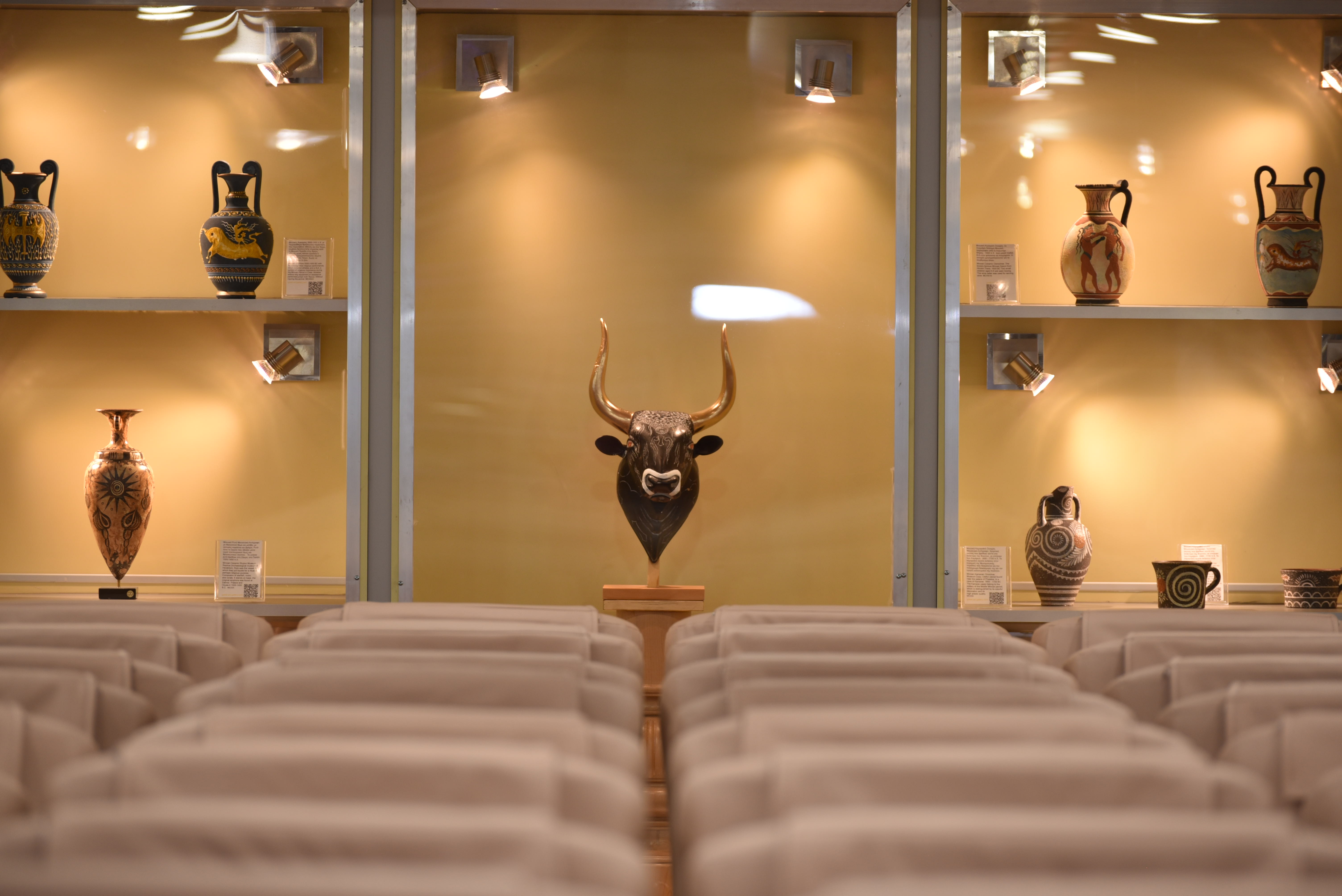 Elite Jet interior silver club with a front window with Cretan vases
