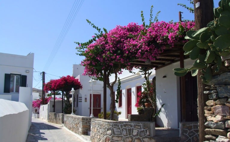Artemonas